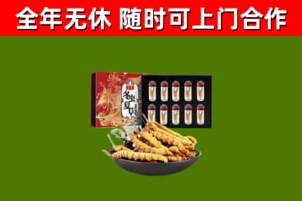 永宁回收冬虫夏草价格